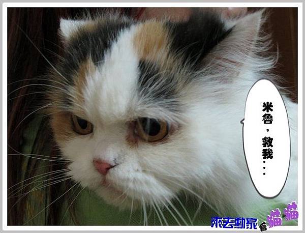 20120413 小公主 04 20120413 小公主 04