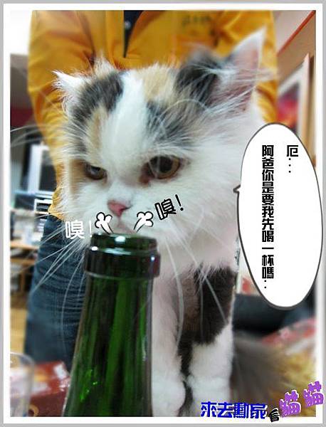 20120413 小公主 18 20120413 小公主 18
