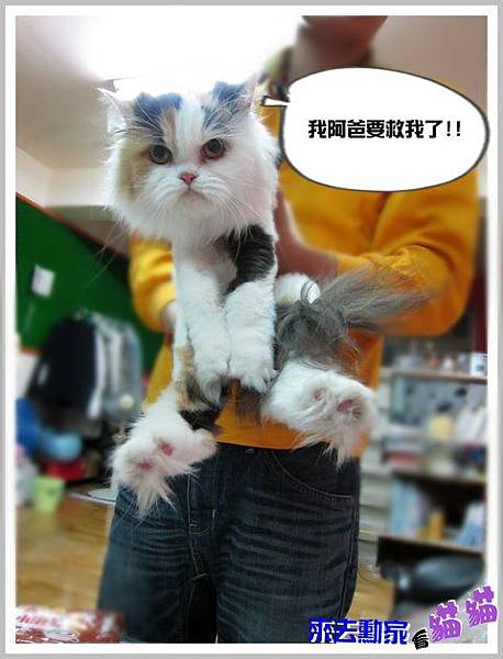 20120413 小公主 19 20120413 小公主 19