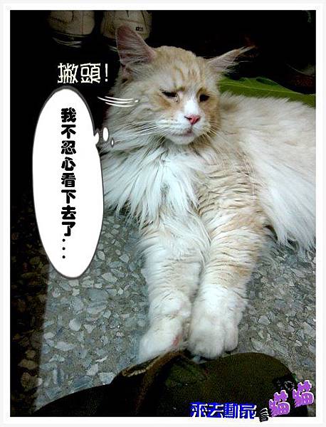 20120413 小公主 13 20120413 小公主 13