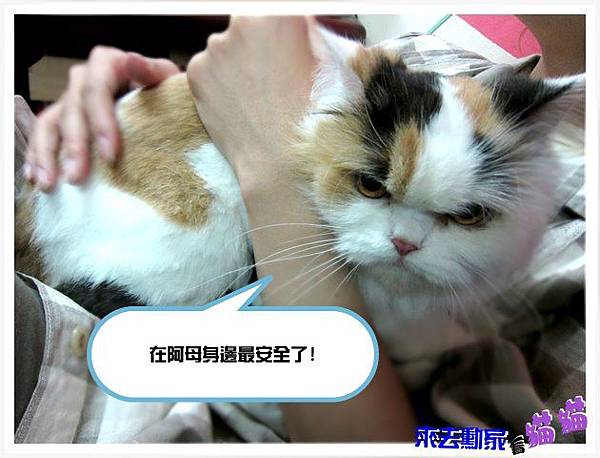 20120413 小公主 15 20120413 小公主 15