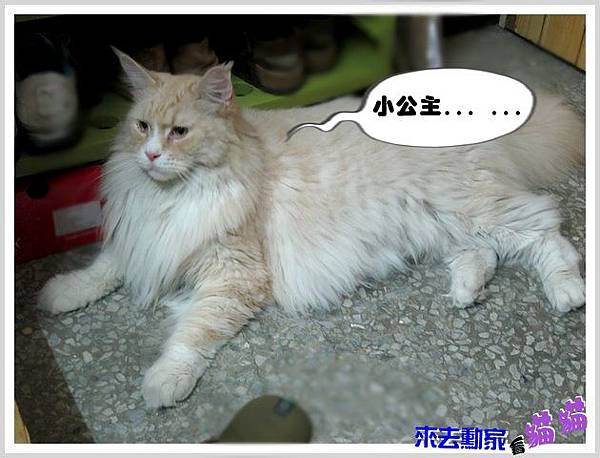 20120413 小公主 05 20120413 小公主 05