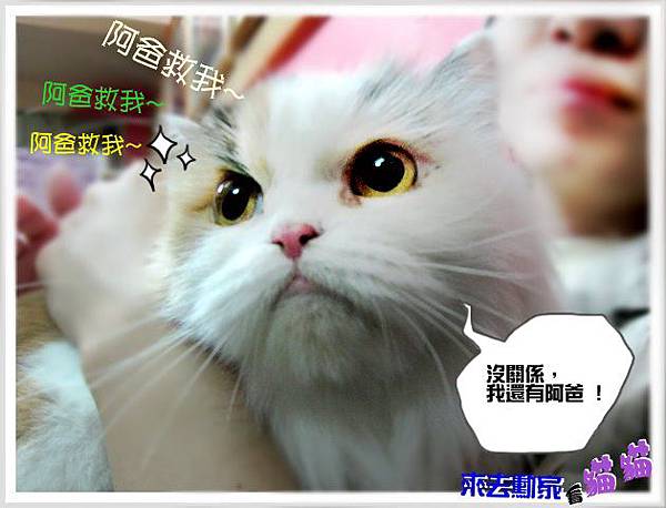 20120413 小公主 17 20120413 小公主 17