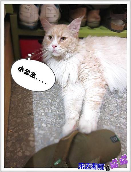 20120413 小公主 11 20120413 小公主 11