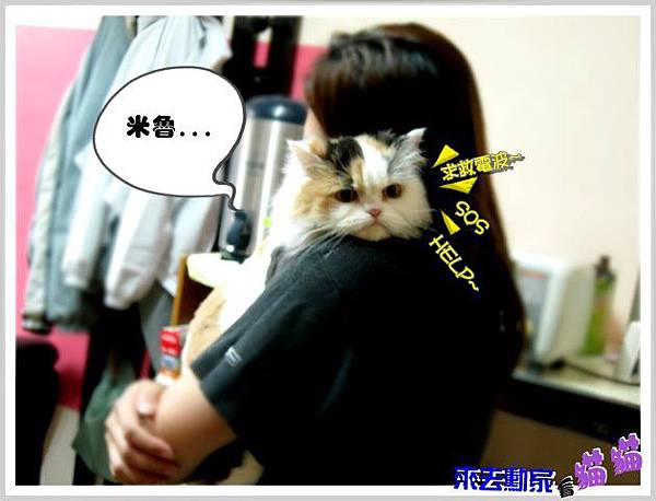 20120413 小公主 10 20120413 小公主 10