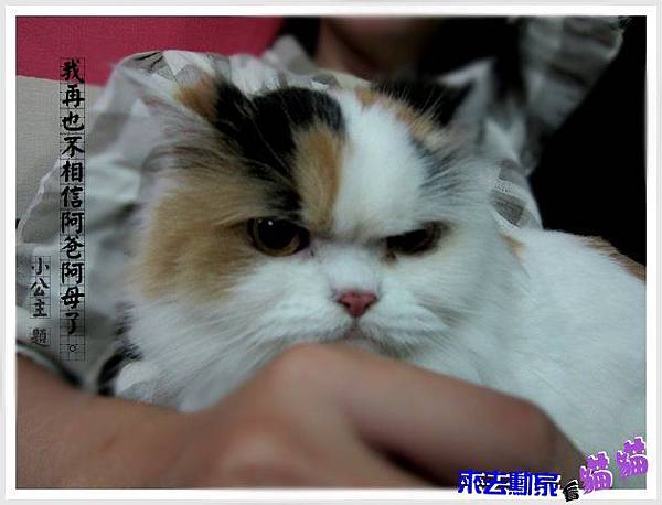20120413 小公主 21 20120413 小公主 21