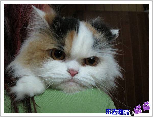 20120413 小公主 01 20120413 小公主 01