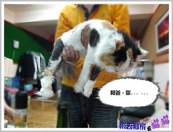 20120413 小公主 20 20120413 小公主 20