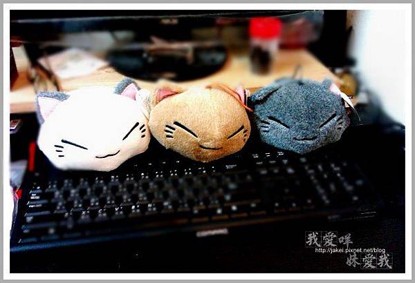 20120504 大頭貓 02 20120504 大頭貓 02
