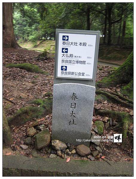 奈良 07 奈良 07