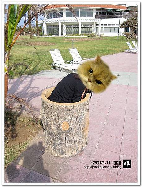 2012-11 05 殘波岬 30 2012-11 05 殘波岬 30