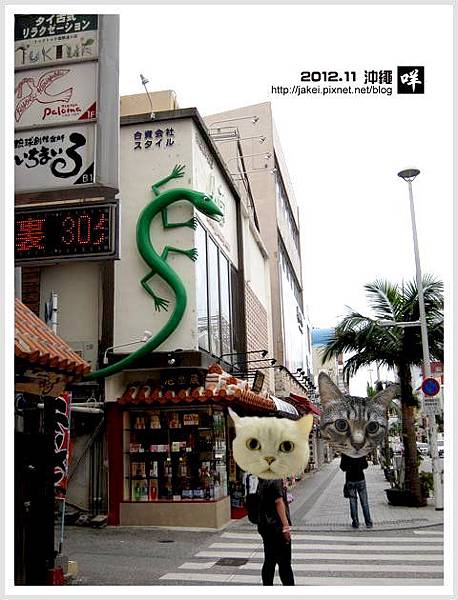 2012-11 08 瞎晃 15 2012-11 08 瞎晃 15