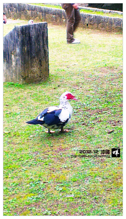20121223 N08 20121223 N08