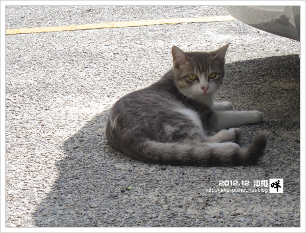 2012-12 CAT 10 2012-12 CAT 10