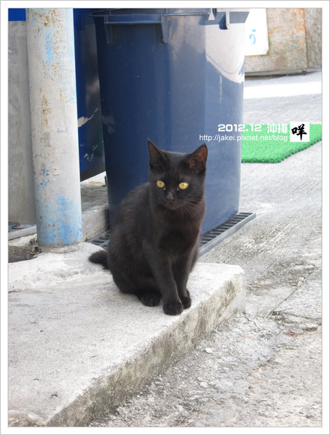 2012-12 CAT 12 2012-12 CAT 12