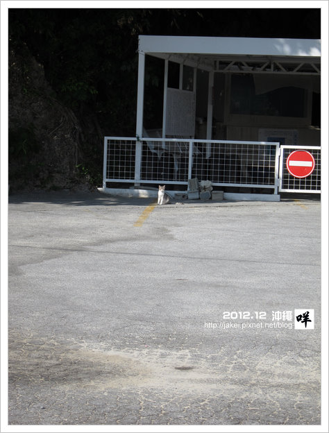 2012-12 CAT 13 2012-12 CAT 13
