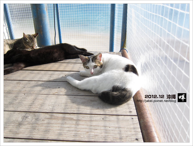 2012-12 CAT 16 2012-12 CAT 16