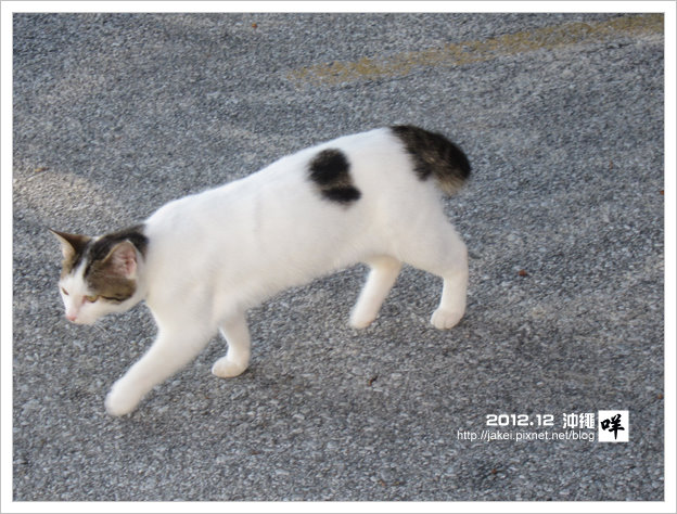 2012-12 CAT 19 2012-12 CAT 19