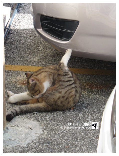 2012-12 CAT 20 2012-12 CAT 20
