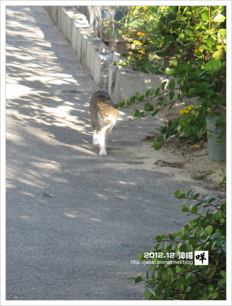 2012-12 CAT 21 2012-12 CAT 21