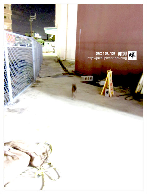 2012-12 CAT 25 2012-12 CAT 25