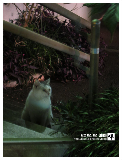 2012-12 CAT 29 2012-12 CAT 29