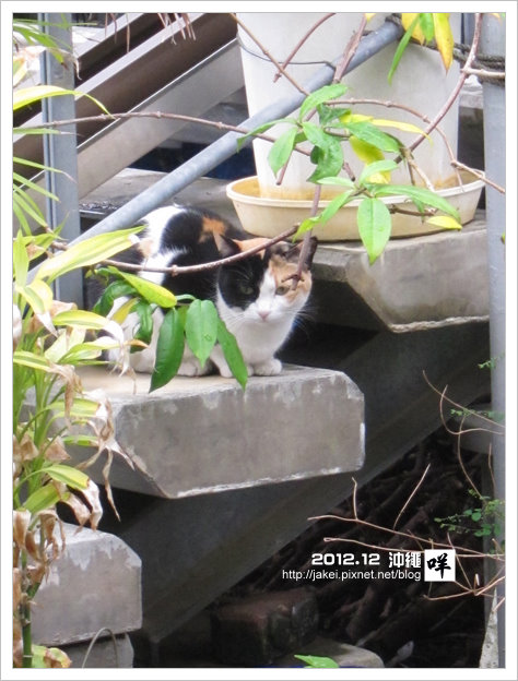 2012-12 CAT 44 2012-12 CAT 44