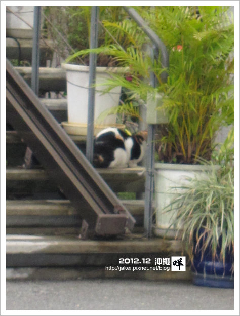 2012-12 CAT 43 2012-12 CAT 43