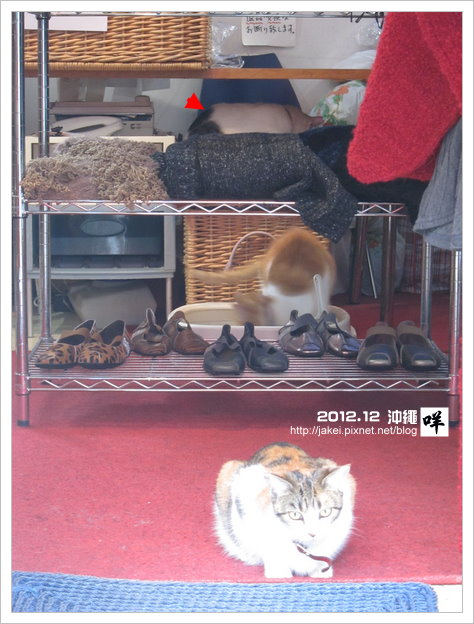 2012-12 CAT 55 2012-12 CAT 55