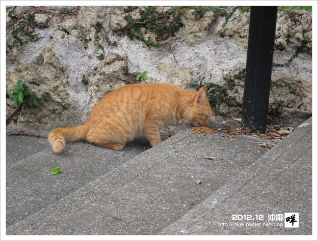 2012-12 CAT 58 2012-12 CAT 58