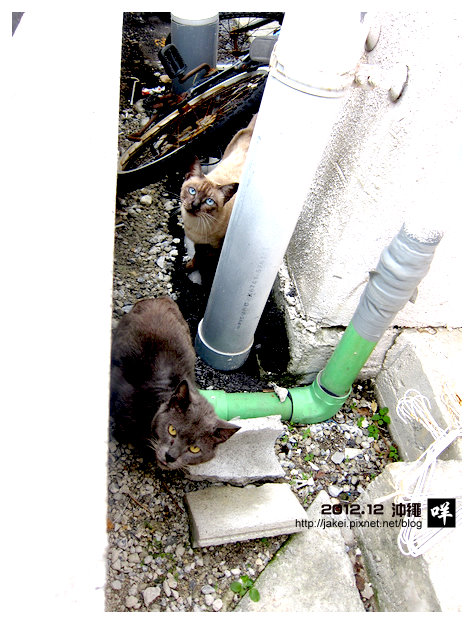 2012-12 CAT 73 2012-12 CAT 73