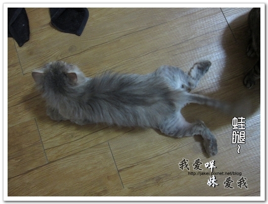 100522 咩妹洗牙 18.jpg 100522 咩妹洗牙 18.jpg