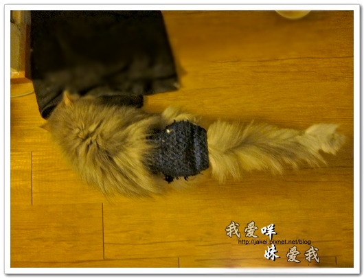 100504 內褲咩 04.jpg 100504 內褲咩 04.jpg