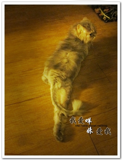 100522 咩妹洗牙 07.jpg 100522 咩妹洗牙 07.jpg