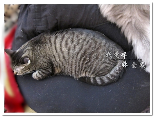 100501 分享 16.jpg 100501 分享 16.jpg