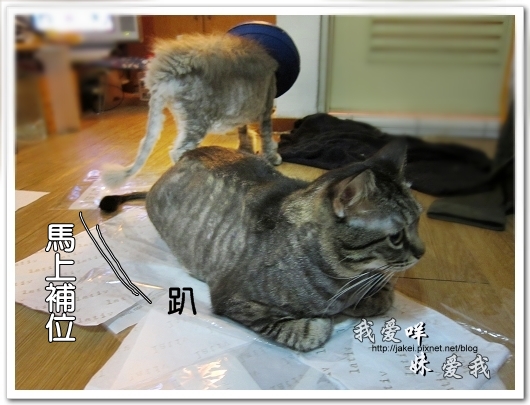 100521 LATIV 開箱 14.jpg 100521 LATIV 開箱 14.jpg