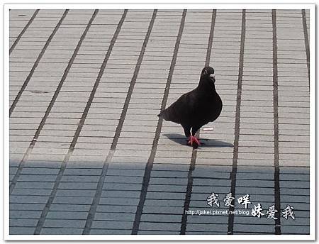 20110529 倆人旅店 119.jpg 20110529 倆人旅店 119.jpg