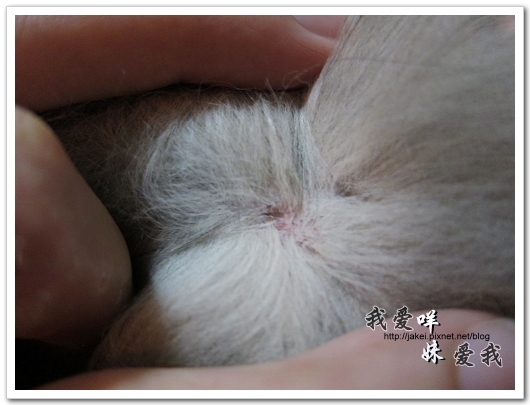 100522 咩妹洗牙 09.jpg 100522 咩妹洗牙 09.jpg