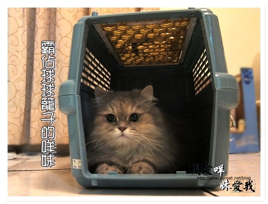 100320 球球來作客 03.jpg