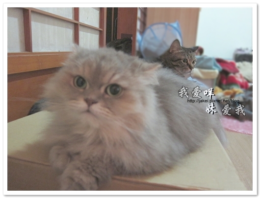 100501 分享 04.jpg 100501 分享 04.jpg