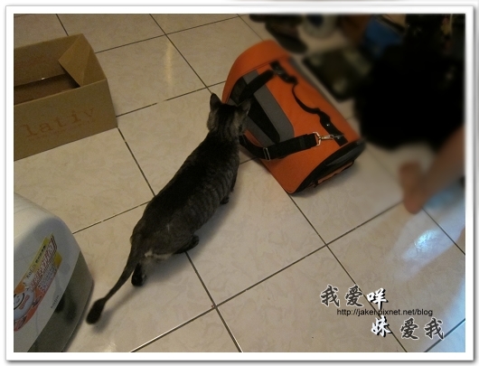 100522 咩妹洗牙 08.jpg 100522 咩妹洗牙 08.jpg