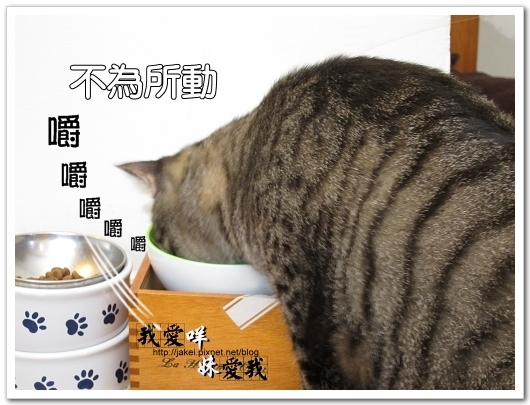 運動吧~班克 13.jpg