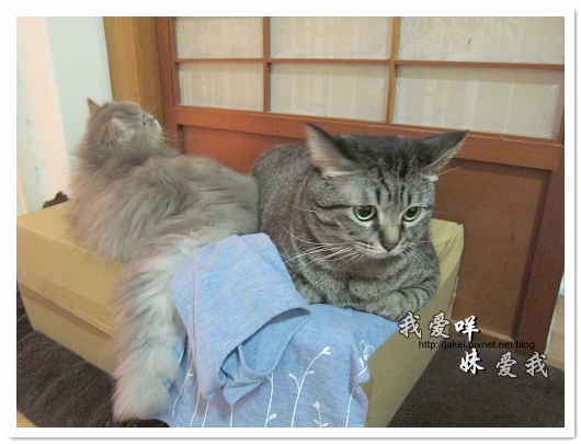 100501 分享 03.jpg 100501 分享 03.jpg