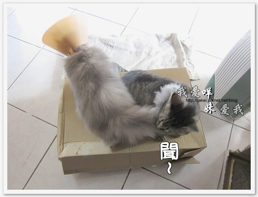 100501 分享 05.jpg 100501 分享 05.jpg