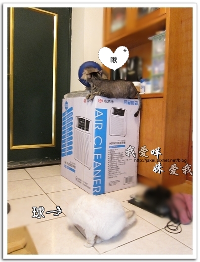 100728 大王清淨機 06.jpg 100728 大王清淨機 06.jpg