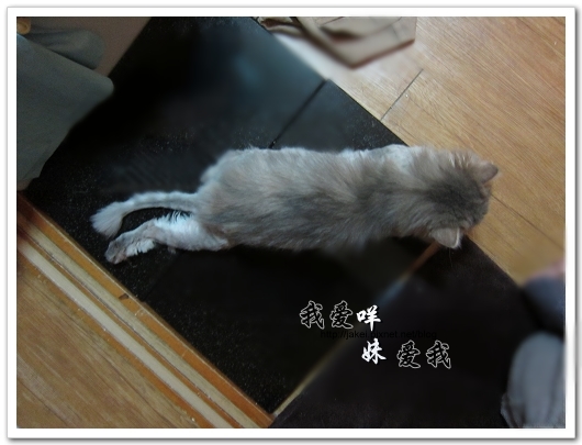 100522 咩妹洗牙 20.jpg 100522 咩妹洗牙 20.jpg
