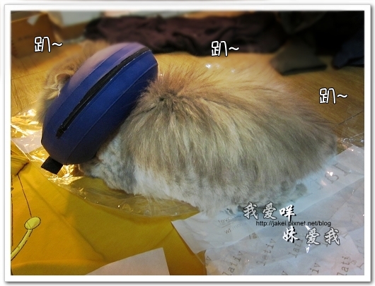 100521 LATIV 開箱 06.jpg 100521 LATIV 開箱 06.jpg
