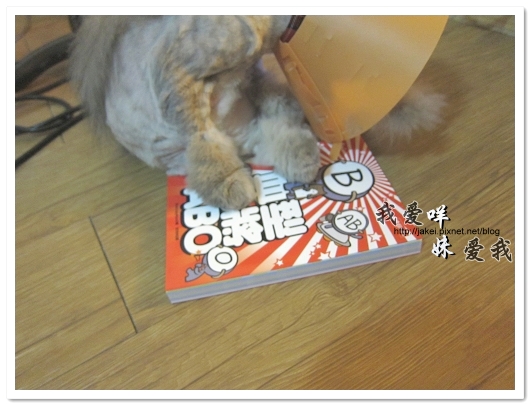 100511 ABO_06.jpg 100511 ABO_06.jpg