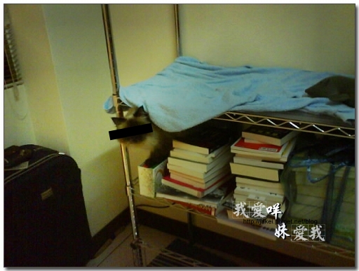 100416 收納貓 05.JPG