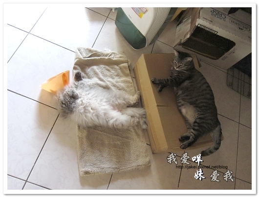 100501 分享 11.jpg 100501 分享 11.jpg